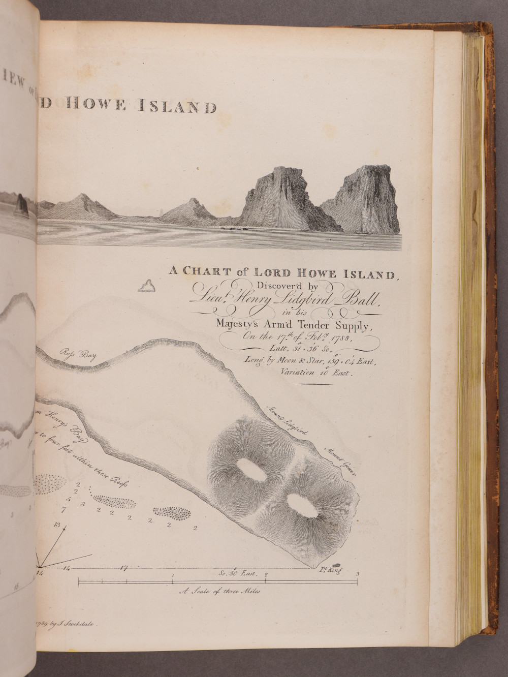 Plate 31 right